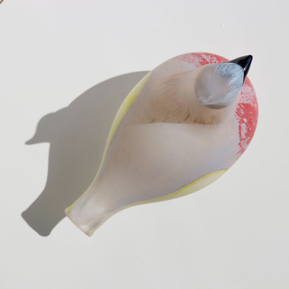 サムネイル： northern waxwing oivatoikka イッタラバード