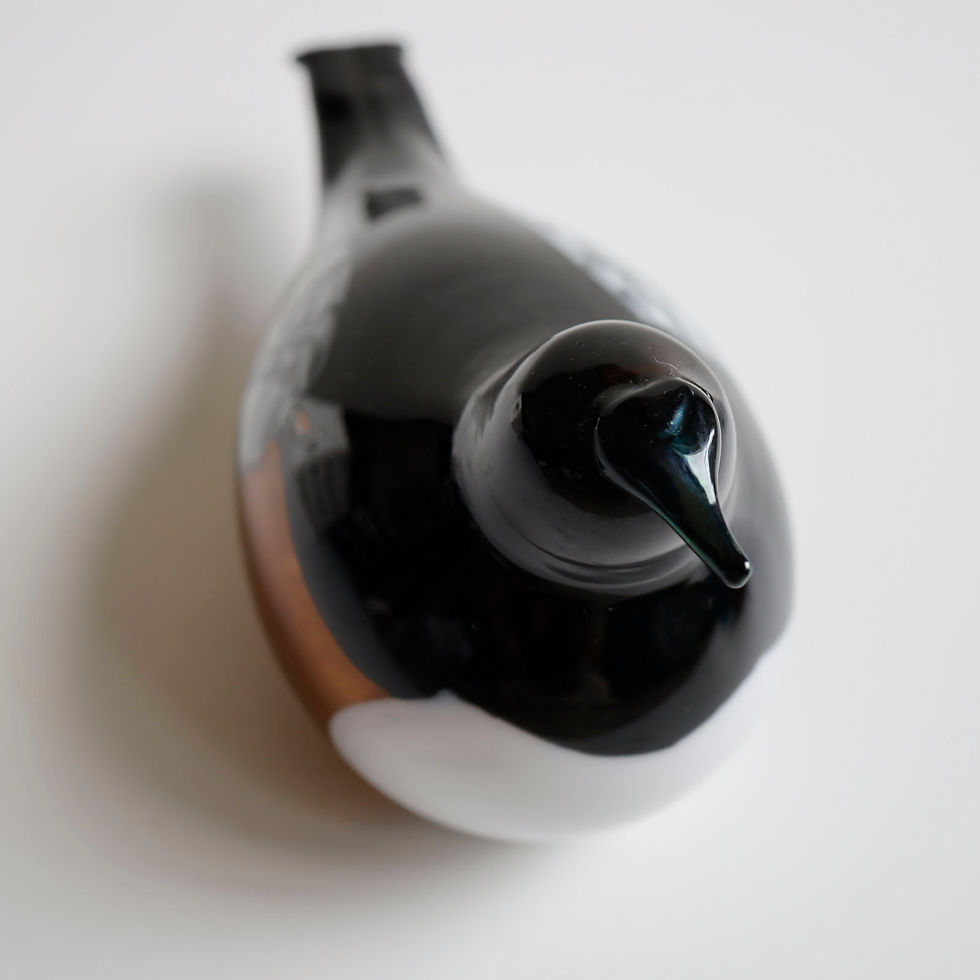 サムネイル： 1500体限定　Spotted Towhee イッタラ　バード　オイバトイッカ