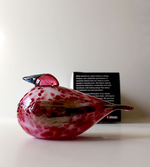 イッタラ バード Rosalinda iittala bird オイバトイッカ Oiva Toikka