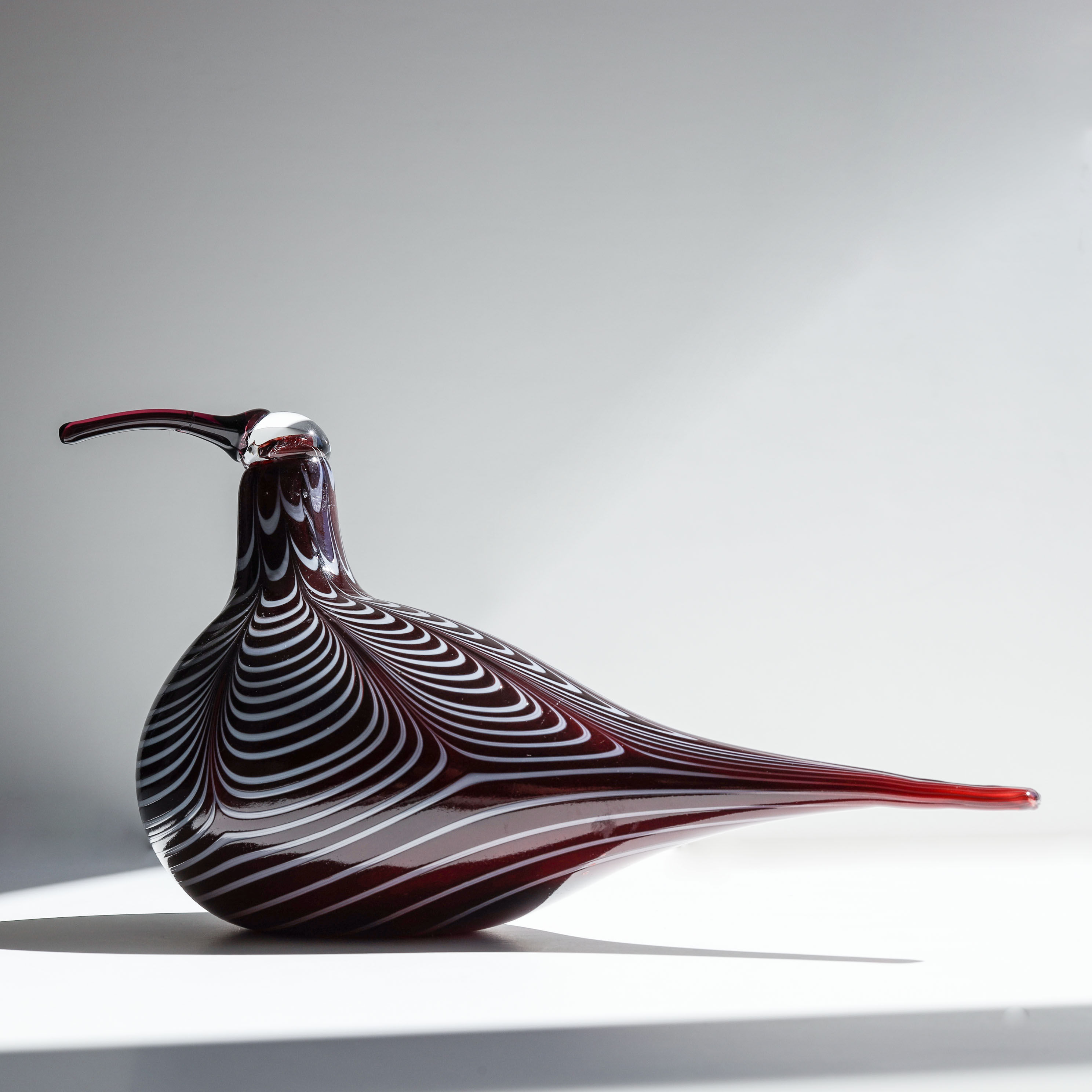 難あり Curlew オイバトイッカ イッタラ バード