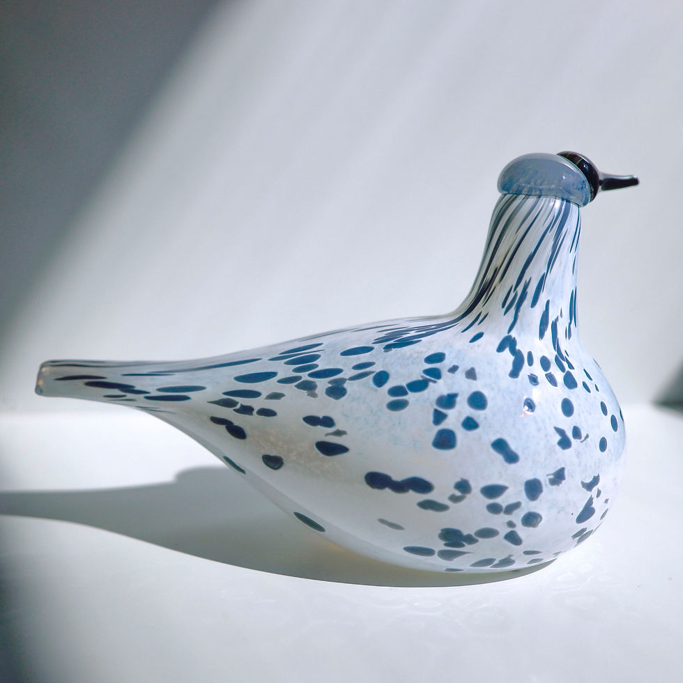 サムネイル： Mistle Thrush オイバトイッカ　イッタラ　バード
