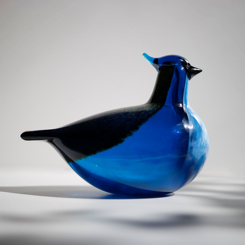 サムネイル： Blue Jay Annal bird 1999　アニュアルバード　オイバトイッカ　イッタラ　バード