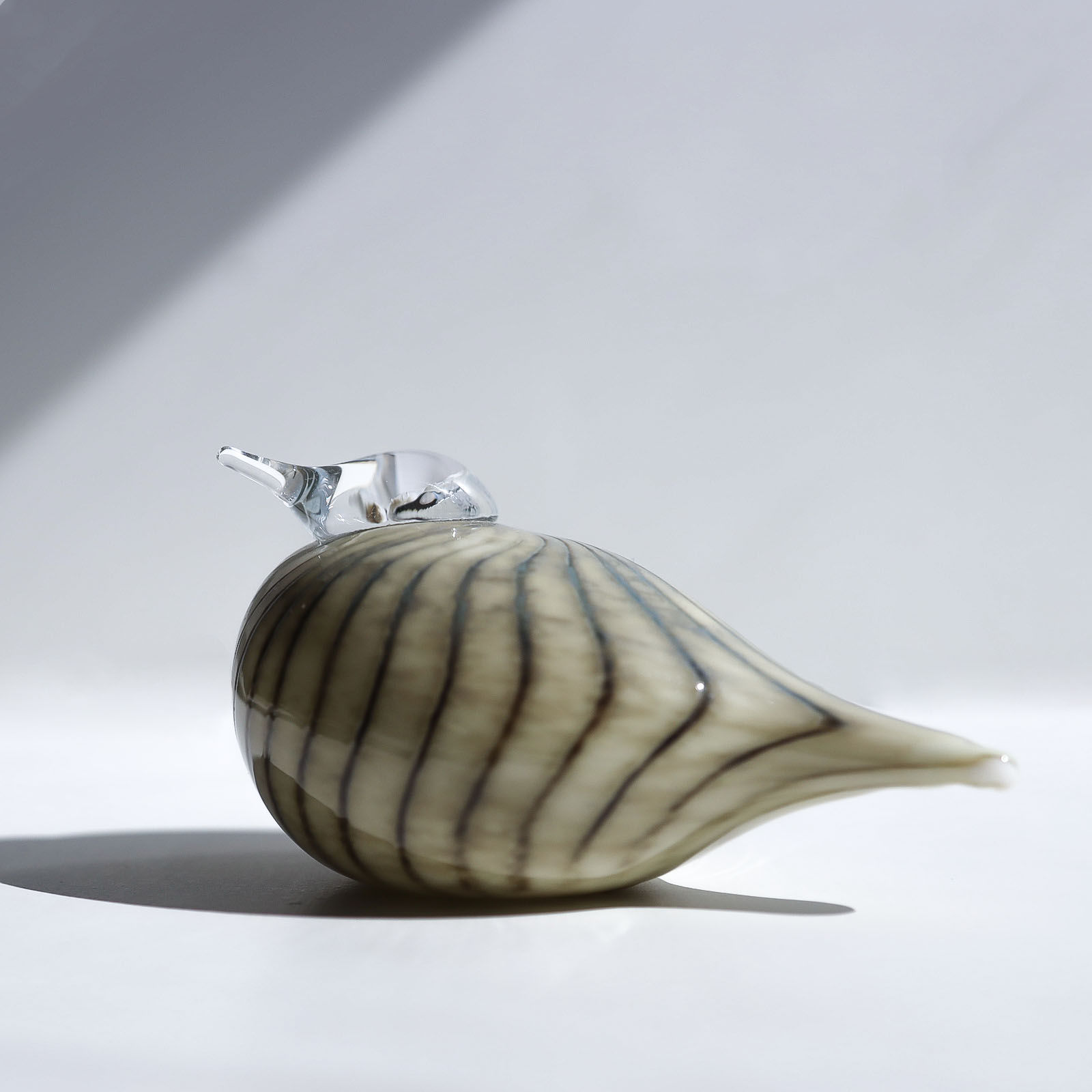 300体限定 オイバトイッカ イッタラ バード