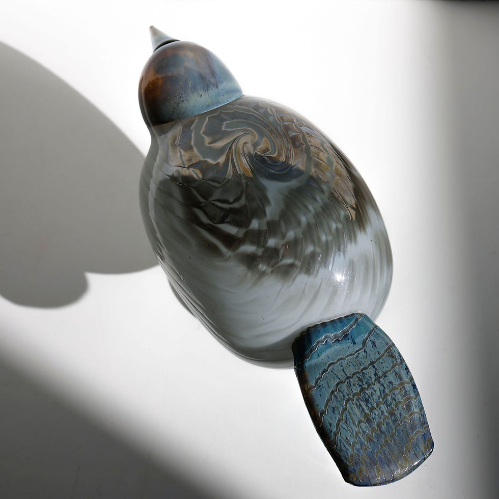 サムネイル： PIGEON　オイバトイッカ　イッタラバード