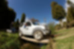Rotorua team building day tours for corporates