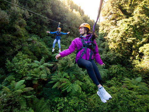 The Ultimate Canopy Experience