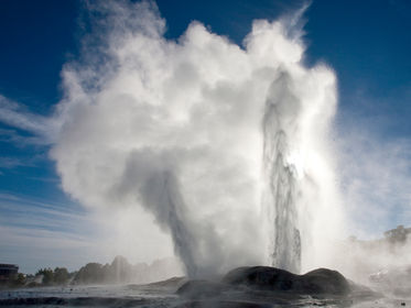 Te Puia Geothermal Valley Experience