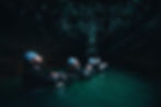 Waitomo Caves adventure tour for large families from Auckland