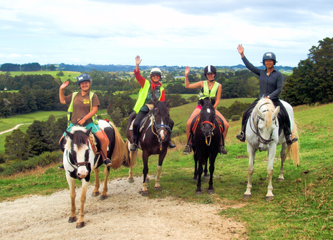Matakana Art & Horse Riding Experience