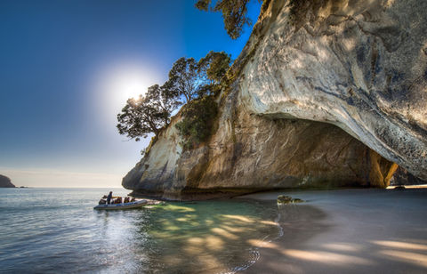 Coromandel Coastal Experience