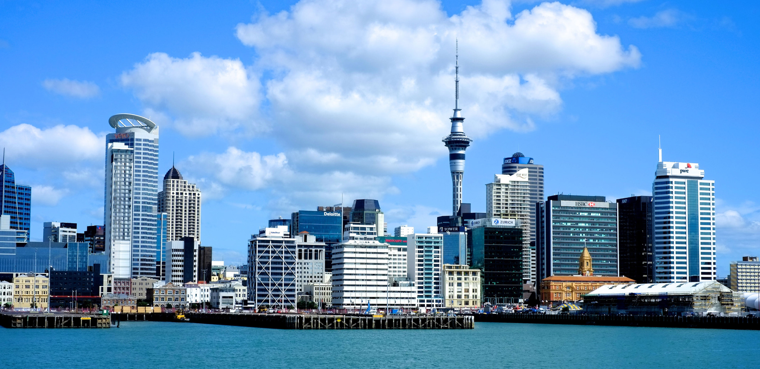 Auckland City & Native Forest Small Group Day Tour ExperienceKart