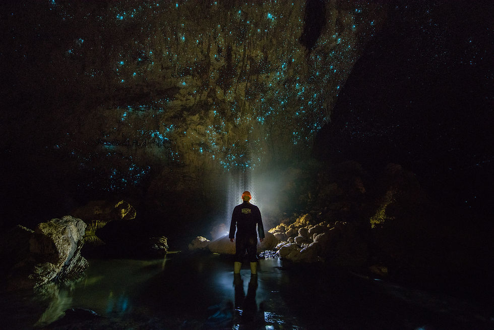 Scenic day trips for families from Auckland to Waitomo