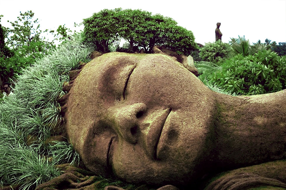 Sleeping Woman Garden