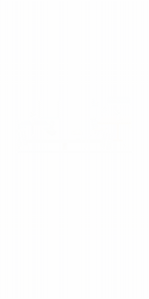 Google Video Partners