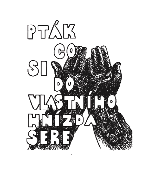 pták co si_edited.png