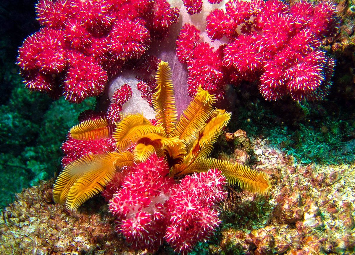 Hong Kong underwater colors...