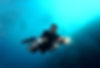Sidemount Diving