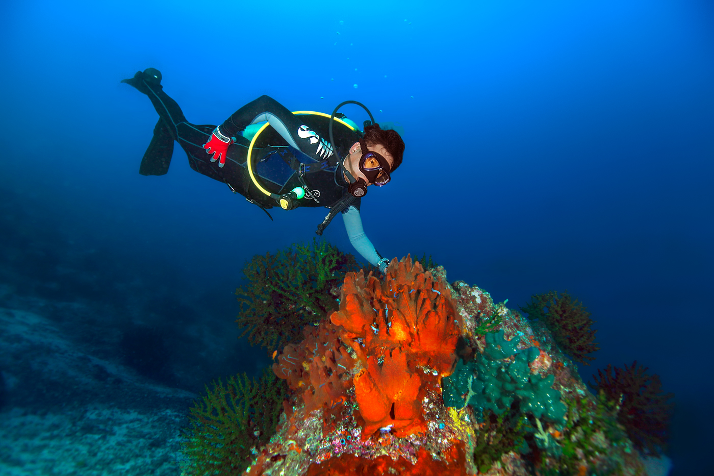 Pulau Weh Dive Photos Scuba Diving in Hong Kong