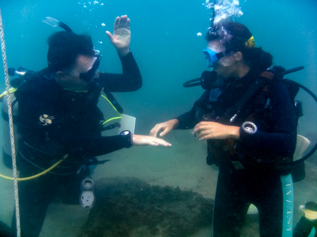 Scuba dive training