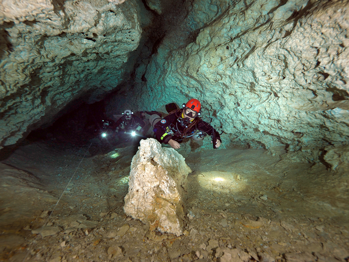 Dive team formation