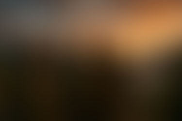 Living Your Truth: Aligning Actions with Values for Authentic Manhood