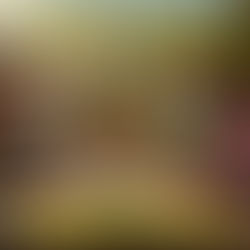 Radiant Masculinity, The Sunshine Within