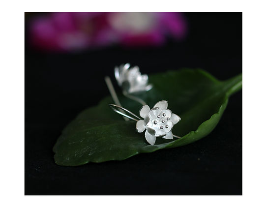 Tejadnya - Jewlery