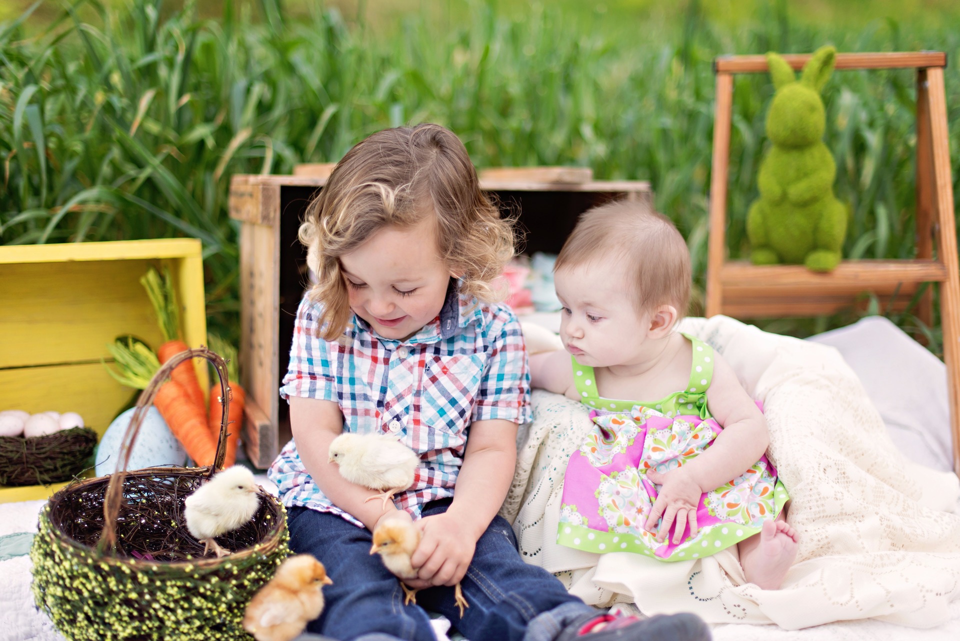 Kids & Chicks content media