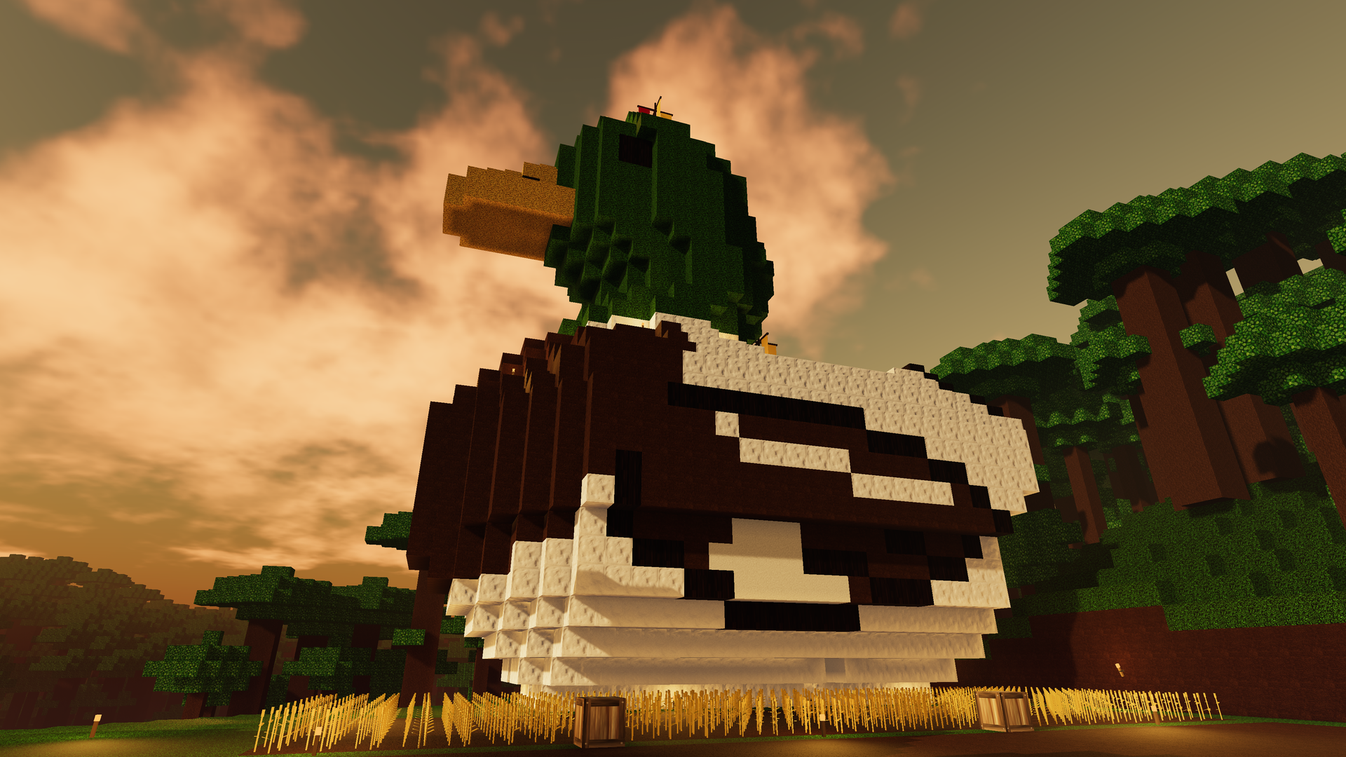 My duck content media