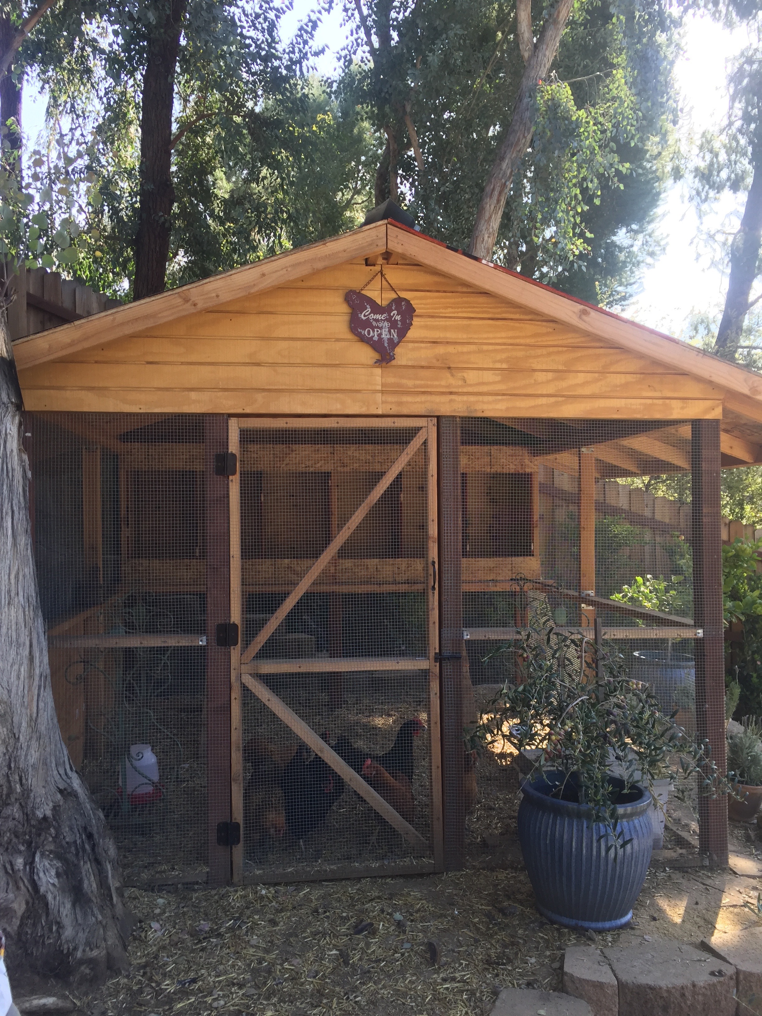 Annual cleaning of chicken coop content media