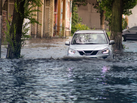 Understanding the Salvage Title: What It Means for Your Junk Car