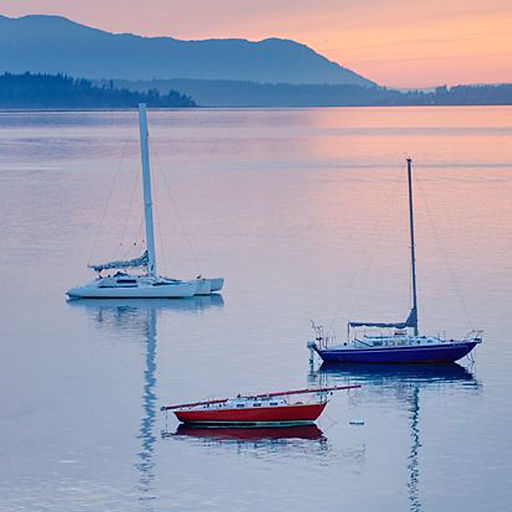 Bellinghambay.jpg