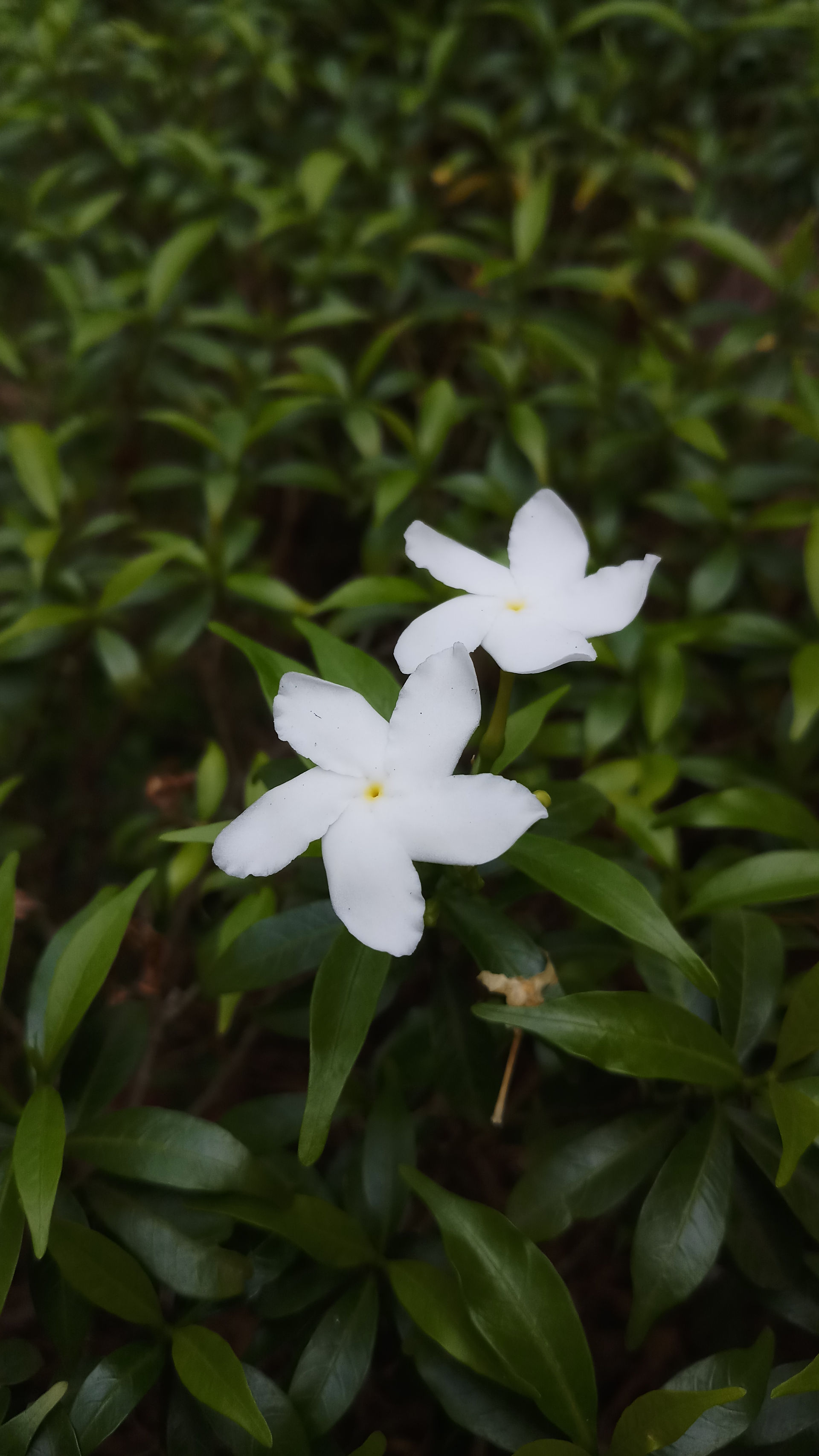 Finding inspiration for artists: Nature