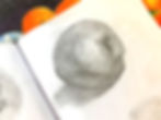 How I Would Start Pencil Sketching Still Life If I Were a Beginner Again