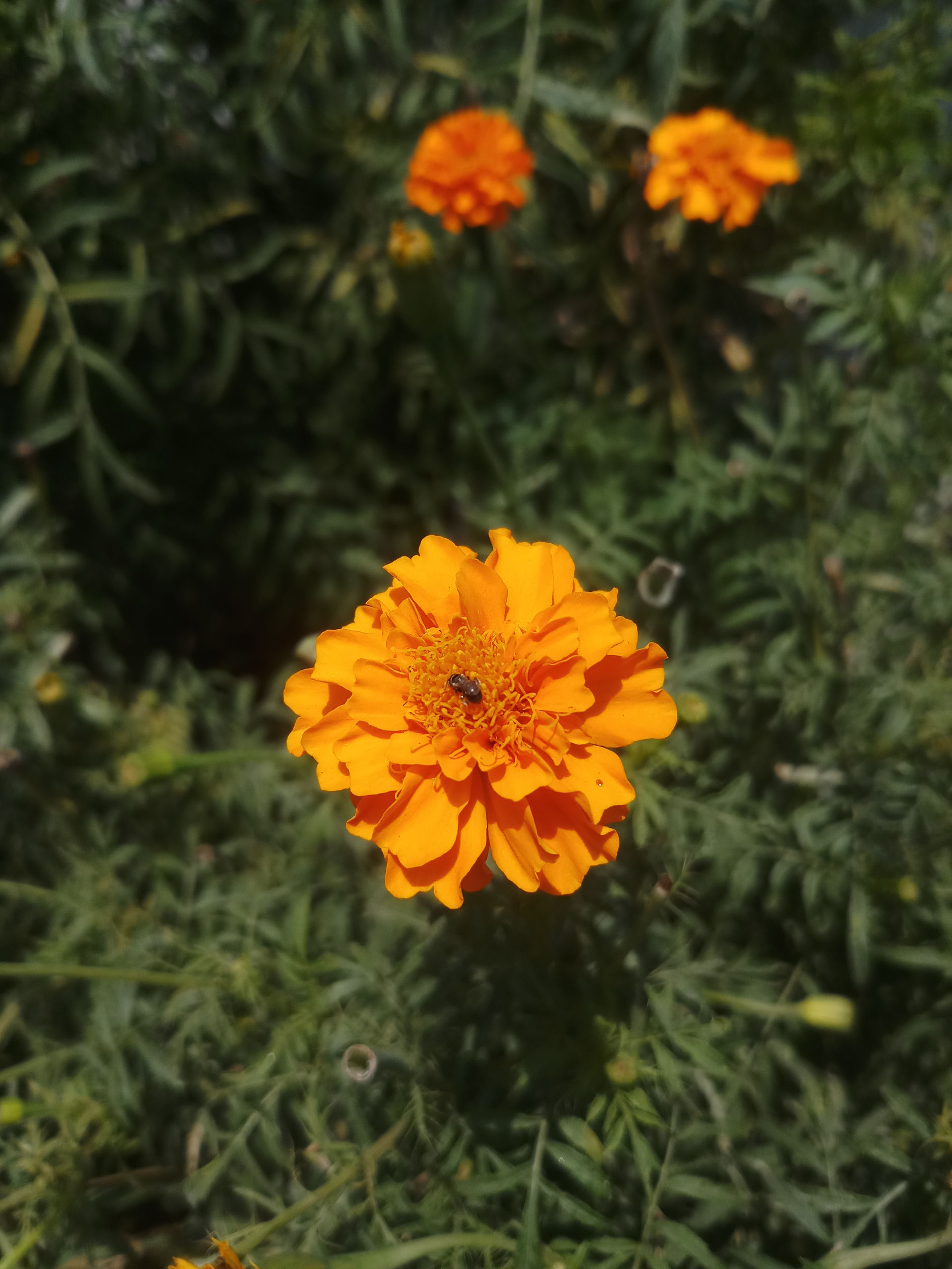 Finding inspiration for artists: Nature
