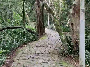 Bosque Municipal de Portugal