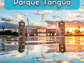 Passeios ao Pôr do sol em Curitiba