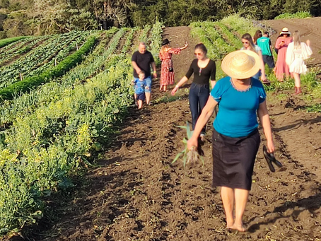 Práticas Agrícolas do Miringuava: Sustentabilidade em foco.