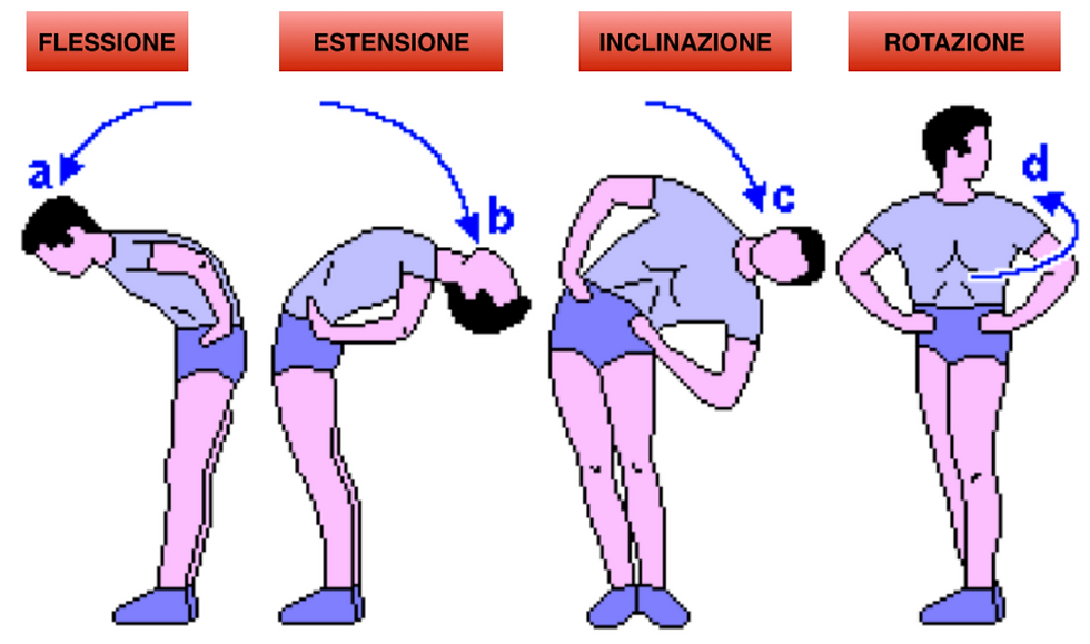 movimenti colonna