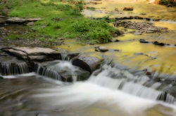 P64.jpg
