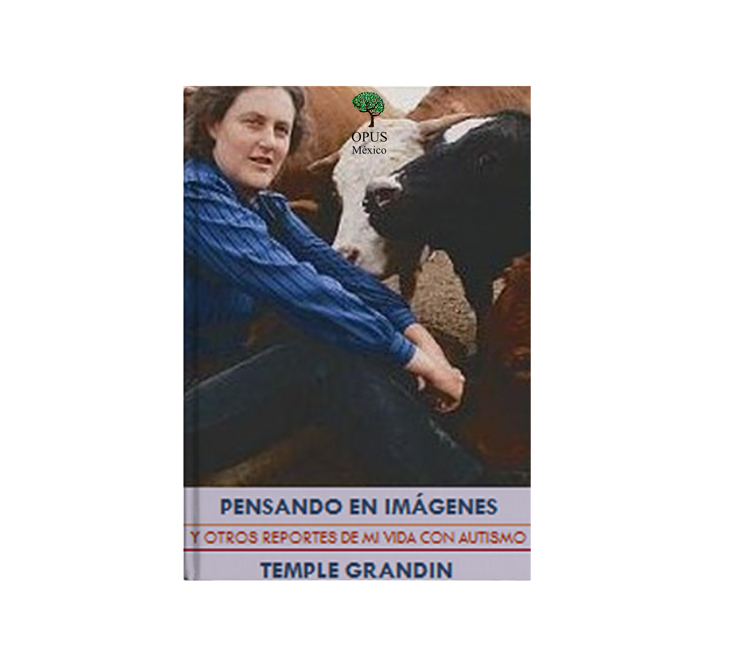 Pensando en imágenes