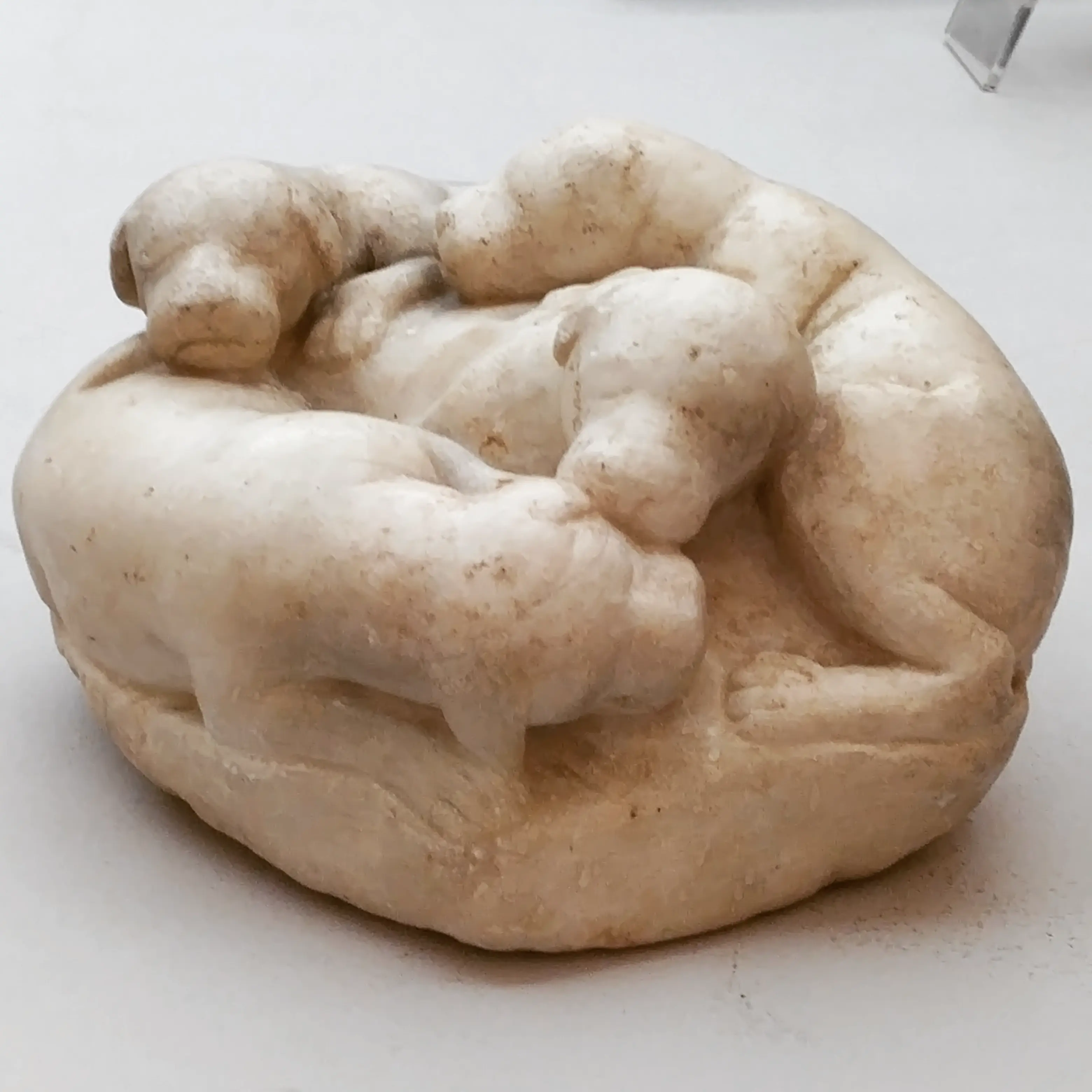 Pile of Puppies at MANN