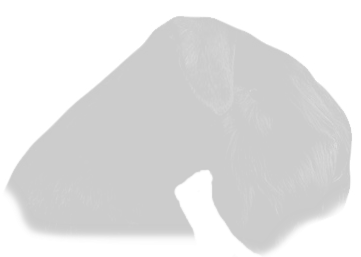 239f87e2-c9a5-4c69-ac70-183e031e0b0a_edi