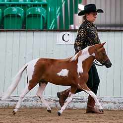 780288466_10174760001515425_1687355292903216136_n_edited.jpg