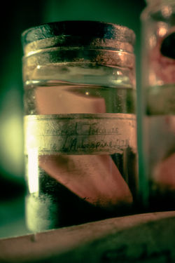 The Red Necklace: Specimen Jars
