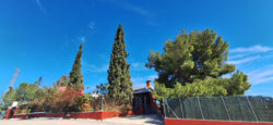 IMG-20240220-WA0130