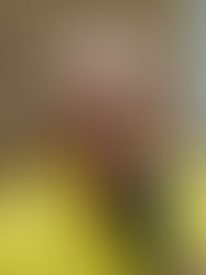 Chico França (PL) cobra transparência: " 83,6 milhões liberados por Bolsonaro para moradias em Itabuna não foram aplicados ".