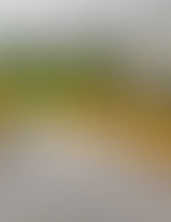 Prefeitura de Itabuna realiza neste sábado ajustes nos horários do transporte coletivo aos finais de semana