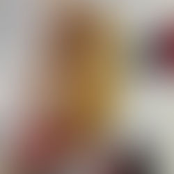 De forma anônima, policiais denunciam péssima alimentação no circuito do Carnaval de Salvador 2026 e ironizam: “Novo recheio”