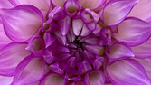 IMG_3481.jpeg